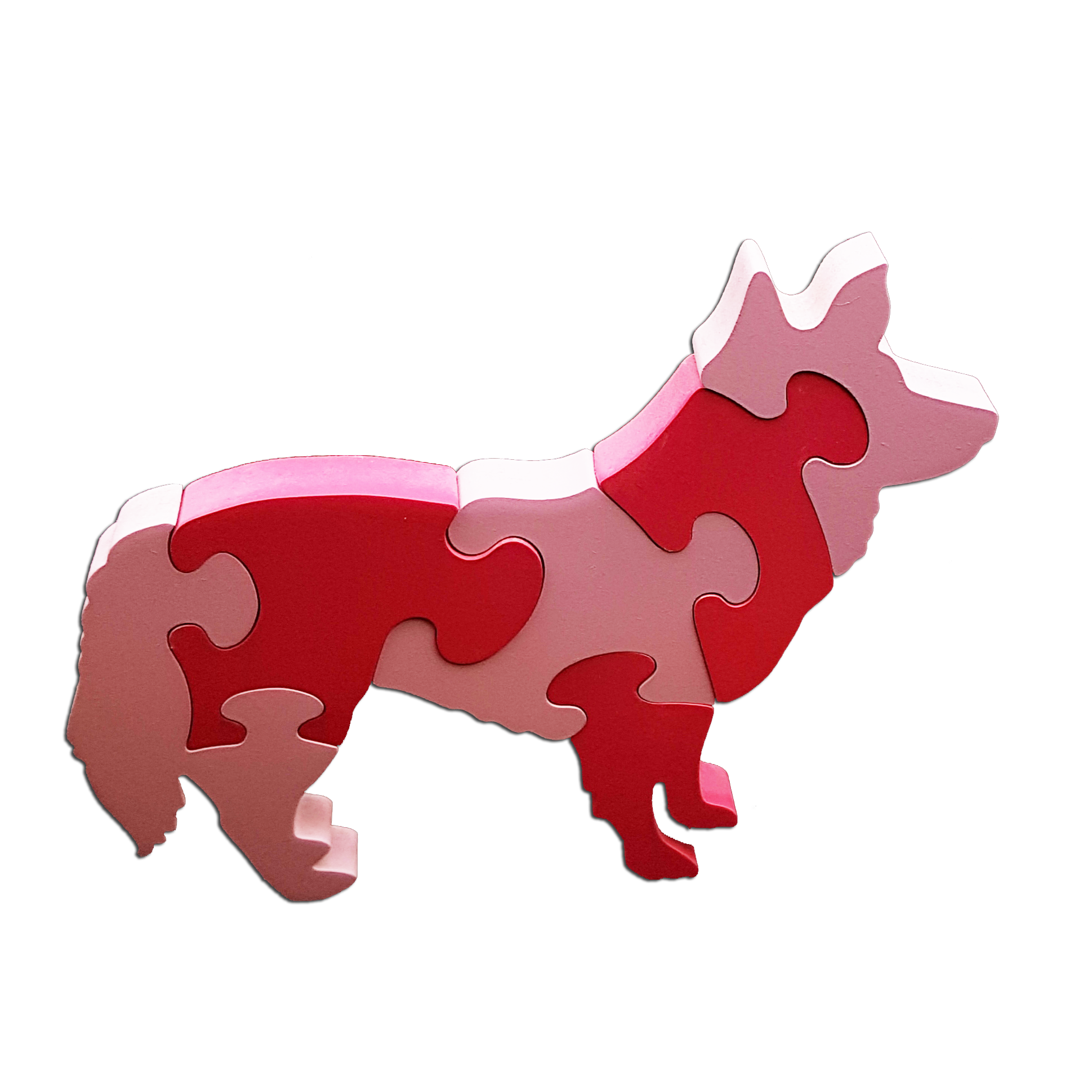 Puzzle 3D �ducatif et ludique San "le chien"