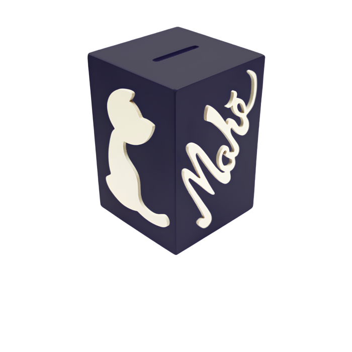 Tirelire pour Garçon - Motif Chat - Couleur Noire